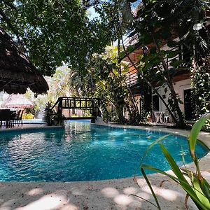 Mayan Art Hotel A Unos Pasos De La 5A Avenida